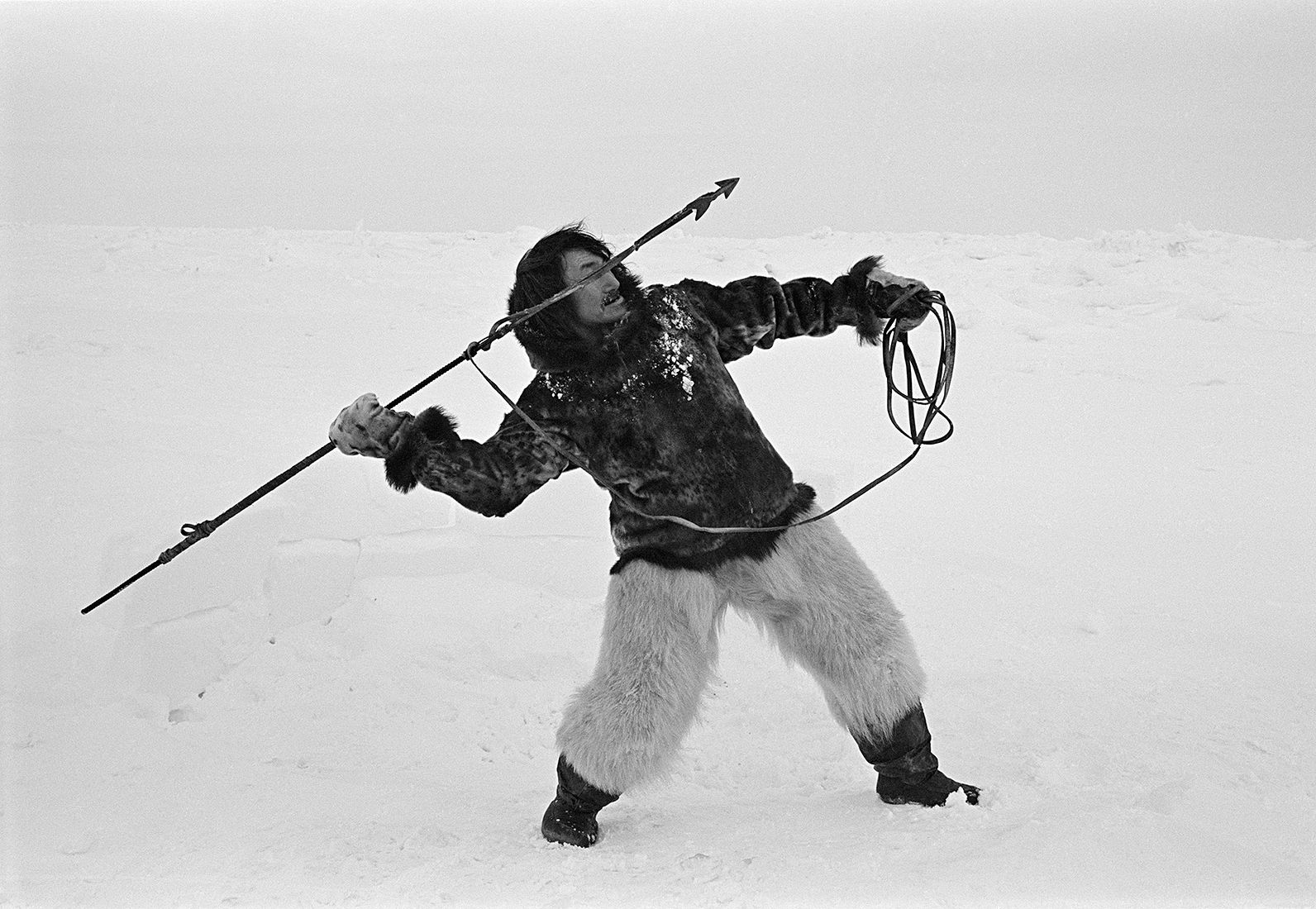 Photographer Andrey Bezukladnikov. Nannuck of the north. Адами в роли ...